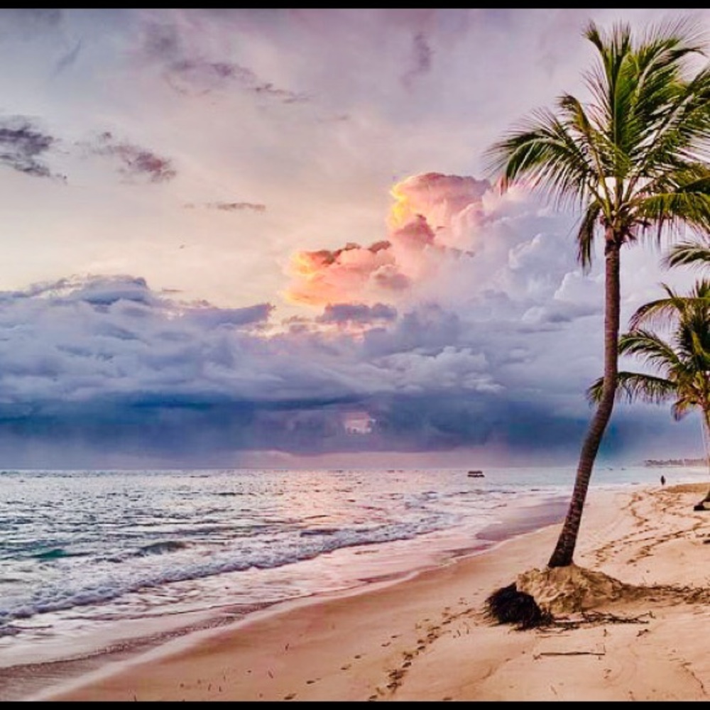 ♥️🌟♥️🌟♥️🌟♥️🌟♥️🌟♥️🌟♥️🌟♥️🌟 - Picture 6 of 11